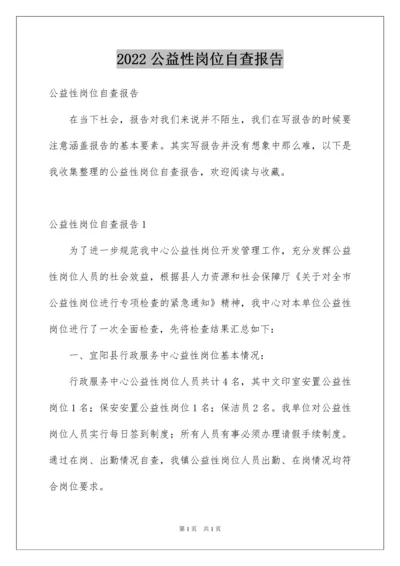 2022公益性岗位自查报告.docx