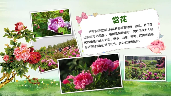 绿色小清新谷雨节气专题教学PPT课件