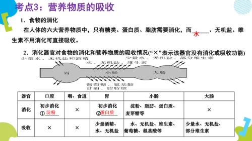 （人教七下复习）第一到三章复习