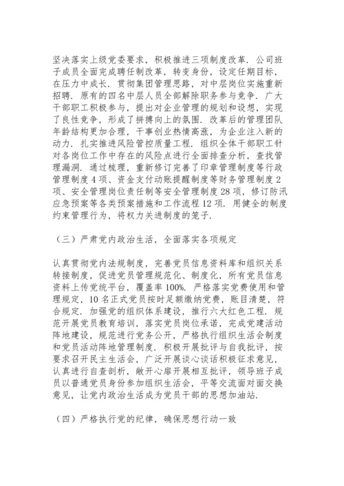 落实全面从严治党主体责任检查情况报告.docx