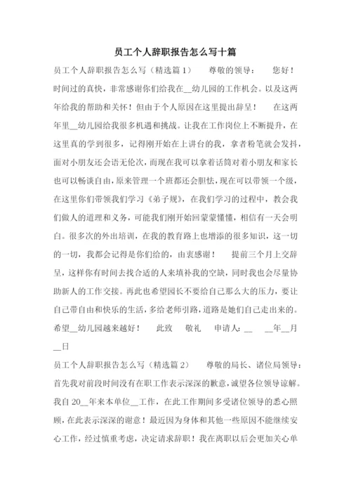 员工个人辞职报告怎么写十篇.docx