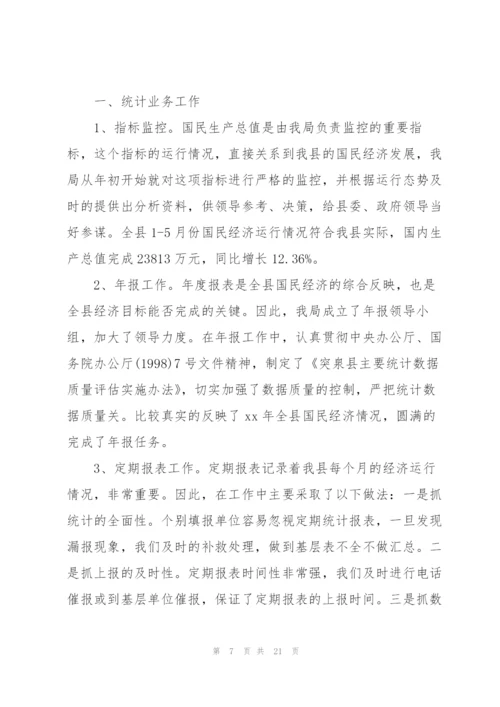 统计专业技术工作总结(多篇).docx