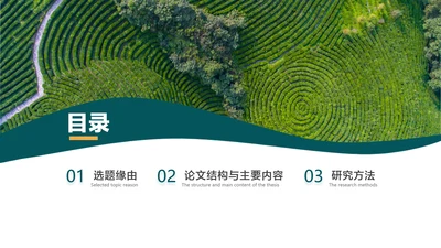 简约风目录介绍并列3项PPT图文页