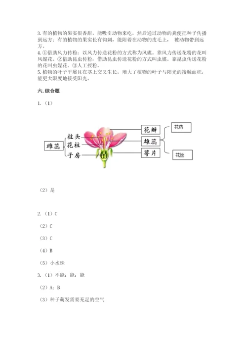 科学四年级下册第一单元植物的生长变化测试卷精品（典优）.docx