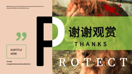 保护野生动物生态通用PPT模板