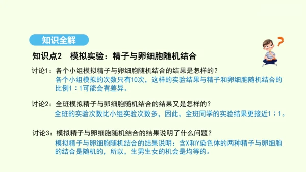 7.2.4人的性别遗传课件-人教版生物八年级下册(共31张PPT)