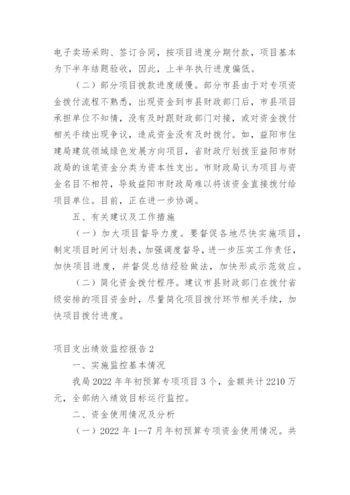项目支出绩效监控报告.docx