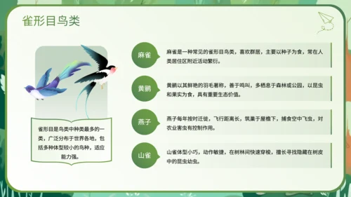 绿色插画风科普知识动物PPT