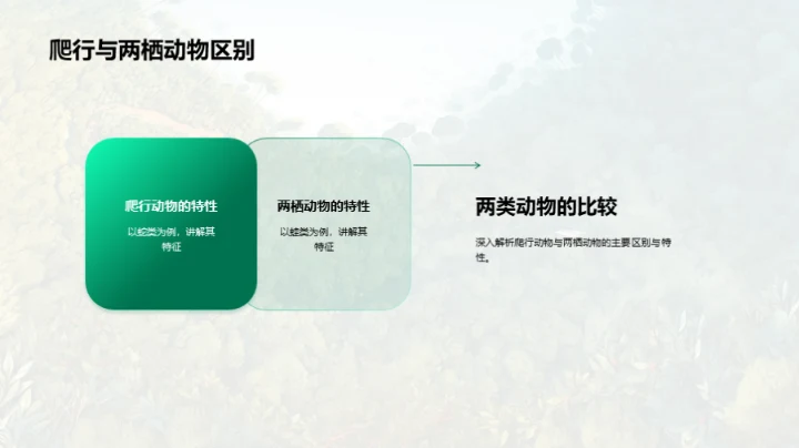 动物世界的奥秘