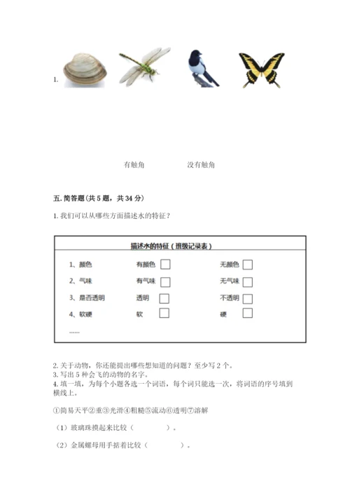 教科版一年级下册科学期末测试卷【综合卷】.docx