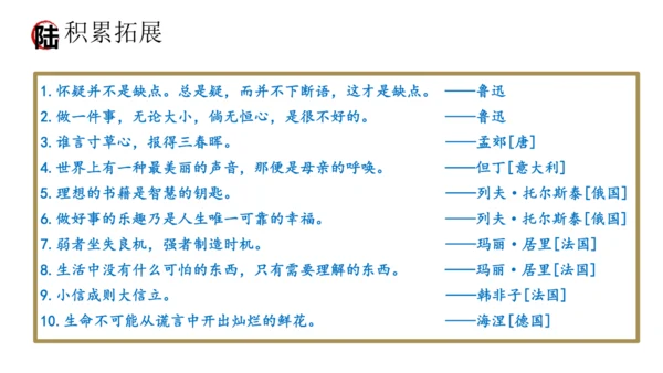统编版语文八年级上册期末复习课件（第二单元）