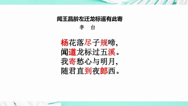 第一单元 复习课件(共75张PPT)