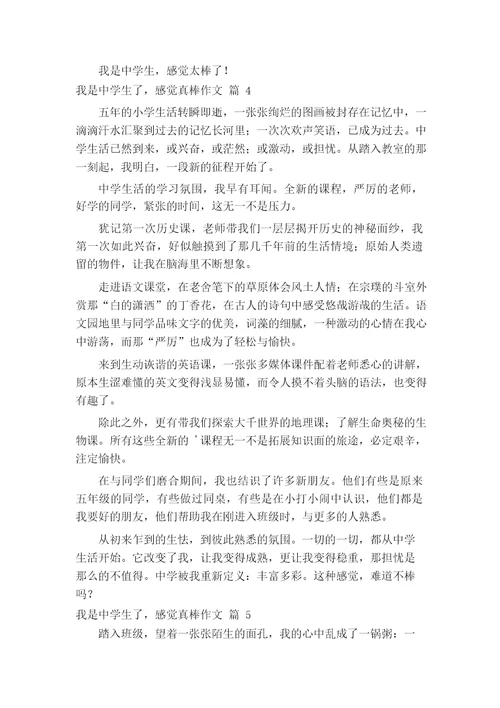 我是中学生了,感觉真棒作文