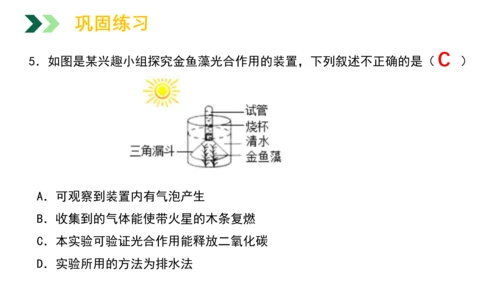 3.5.1 光合作用吸收二氧化碳释放氧气2023-2024学年七年级生物上册精品教学课件（人教版）(