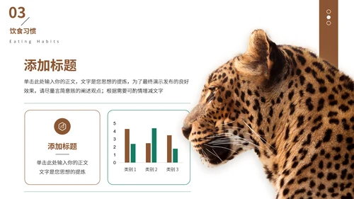 猎豹动物世界花豹科普介绍，豹子通用PPT模板