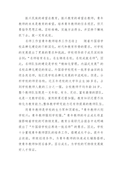 名师工作室青年教师培养工作总结.docx
