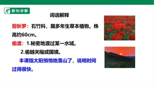 3.现代诗二首 花牛歌 课件