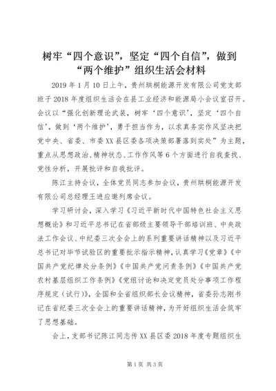 树牢“四个意识”，坚定“四个自信”，做到“两个维护”组织生活会材料 (2).docx