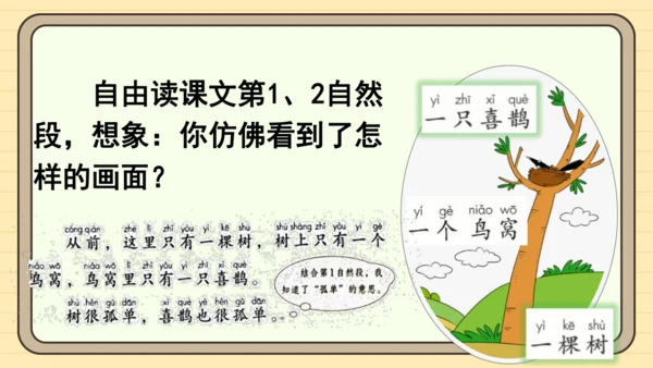 5 树和喜鹊（课件）