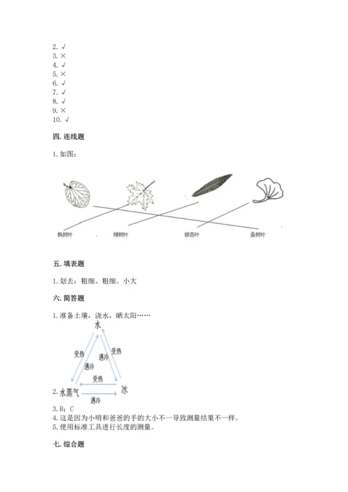 教科版科学一年级上册期末测试卷含答案【精练】.docx