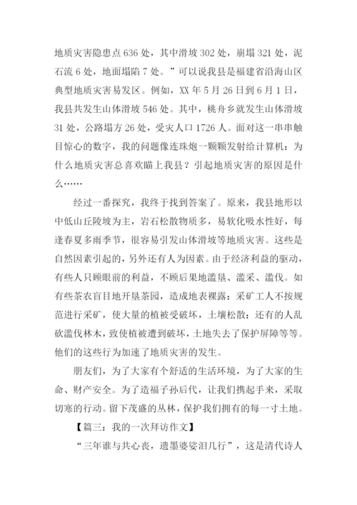 关于一次拜访的作文.docx