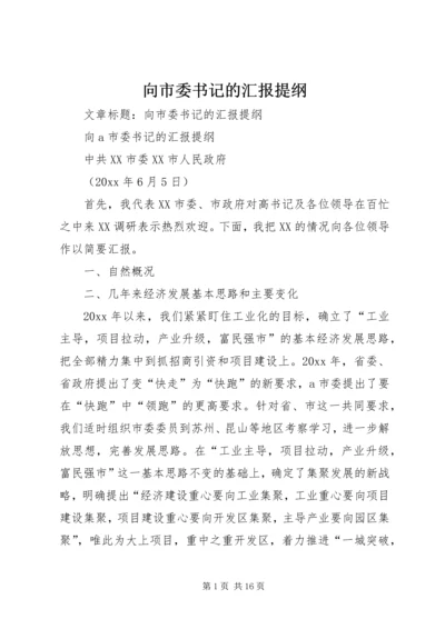 向市委书记的汇报提纲 (3).docx