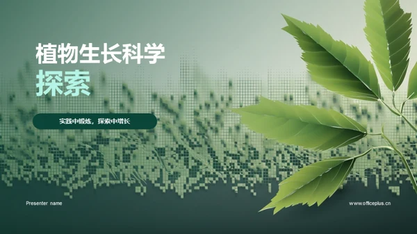 植物生长科学探索