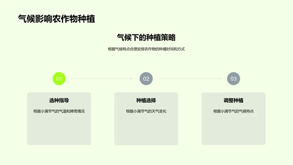 小满节气解析PPT模板