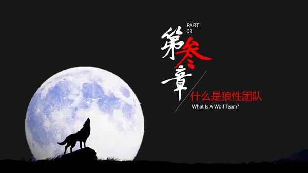狼性文化教学企业团队培训PPT课件