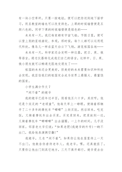 小学生满分作文大全【30篇】小学生优秀作文大全.docx
