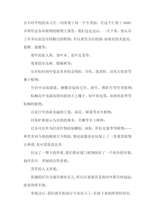 大学的社会实践报告.docx