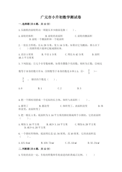 广元市小升初数学测试卷精编.docx