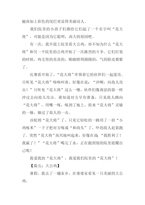 大公鸡作文400字.docx