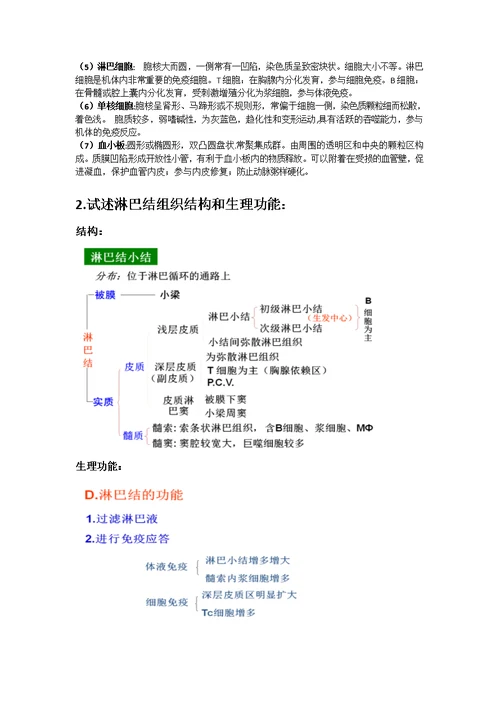 动物组织胚胎学复习资料(共6页)