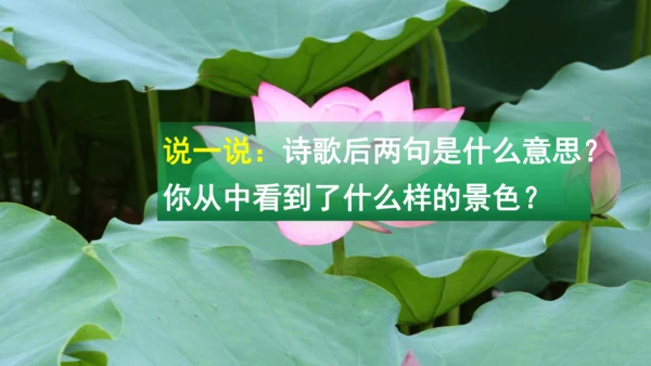 二下《古诗二》第一课时