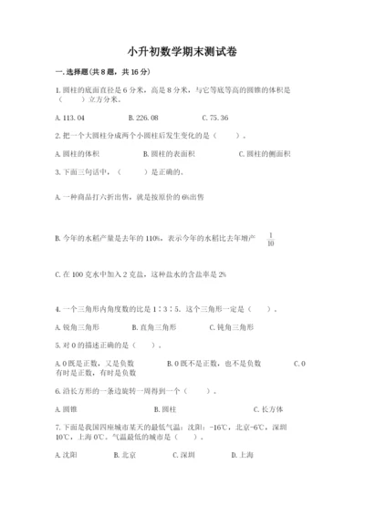 小升初数学期末测试卷及完整答案一套.docx