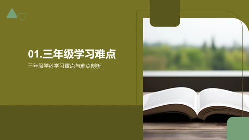 学习攻略全解析