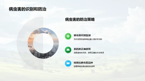 谷雨季节农事指南