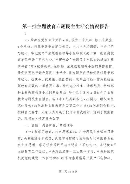 第一批主题教育专题民主生活会情况报告 (3).docx