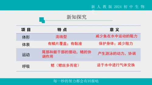 人教版生物七年级上册2.2.2《脊椎动物》（第1课时）课件(共42张PPT)+视频素材