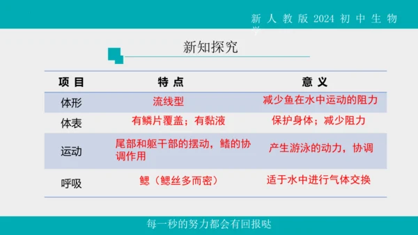 人教版生物七年级上册2.2.2《脊椎动物》（第1课时）课件(共42张PPT)+视频素材