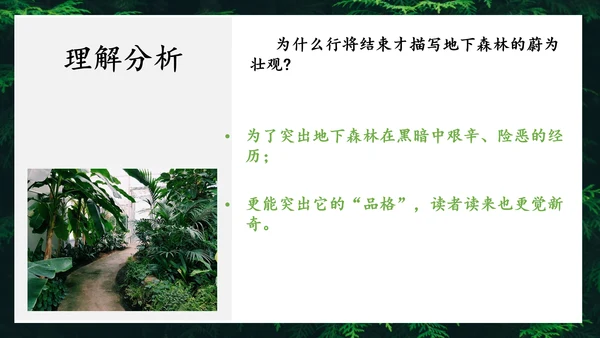 地下森林作家张抗抗作品解读PPT课件