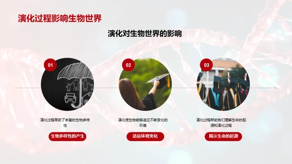 探索生物演化秘密