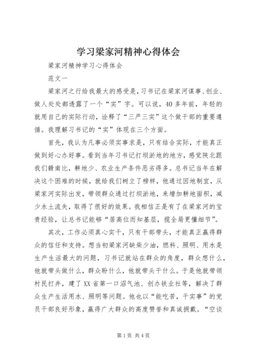 学习梁家河精神心得体会 (8).docx