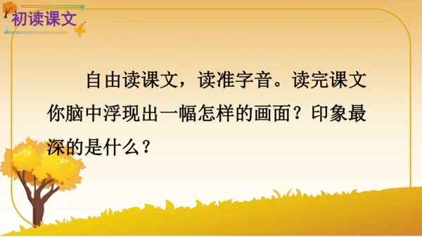 6 秋天的雨   课件