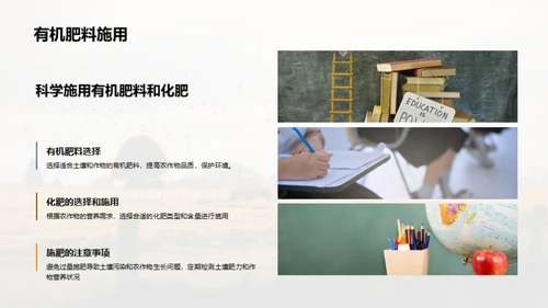 3D风教育培训教学课件PPT模板