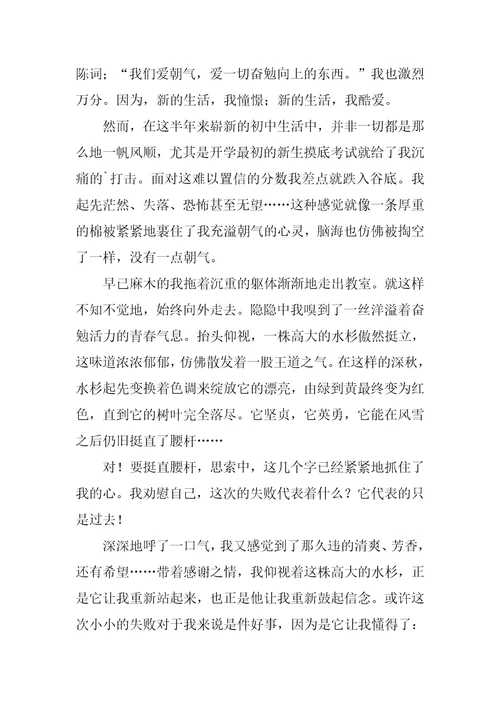实用的努力的作文8篇