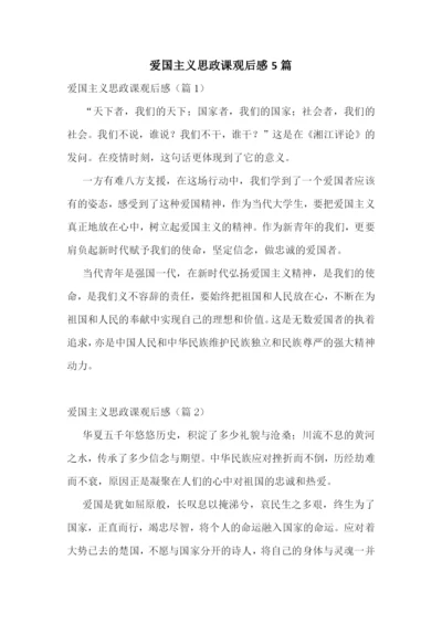 爱国主义思政课观后感5篇.docx