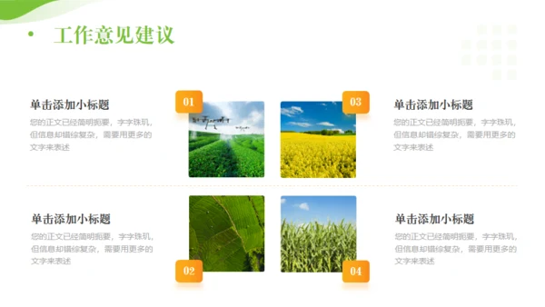 全面推进乡村振兴，田间经济通用PPT模板