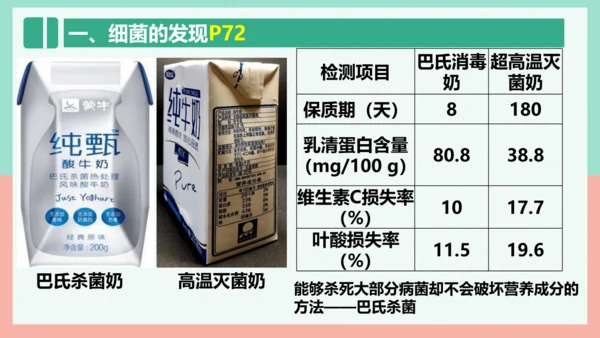 5.4.2  细菌  课件-人教版生物八年级上册(共39张PPT)